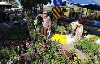 Aydın’da pazar tezgahları çiçeklerle renklendi