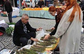 Aydın’ın acı otu, fiyatıyla da görenlerin yüzünü...