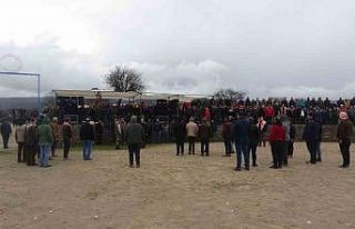 Ayvacık’ta develer depremzedeler yararına güreşti