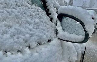 Bahara hazırlanan Ağrı’da kar sürprizi