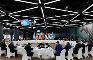 Bakan Dönmez, Türk Devletleri Teşkilatı enerji...