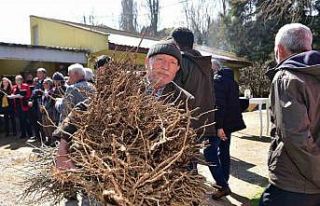 Balıkesir Büyükşehir’den çiftçiye hünnap...