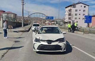 Başı boş hayvanlar kazaya sebep oldu