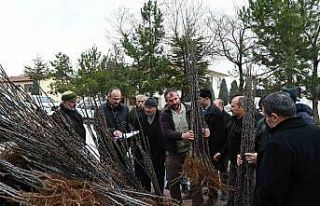 Başkan Altay: “Bu yıl 115 bin fidanı çiftçilerimizle...