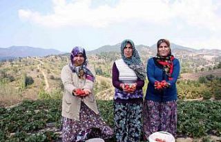 Başkan Aykurt: “Kırsalda üretim yapan vatandaşlarımızın...