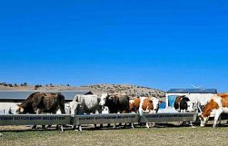 Başkan Büyükkılıç’tan 4 yılda 226 milyon...