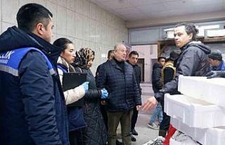 Başkan Yardımcısı Fındık’tan balık denetimi