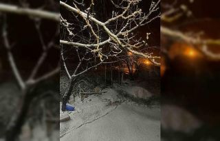 Baskil ilçesinde kar yağışı etkili oldu