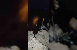 Batman-Dörtyol Petrol Boru Hattı’ndaki akış,...