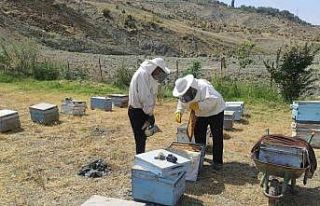 Batman’da arıcıların kovan bakımı ve arı ilaçlama...