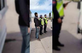 Biga’da kontrolsüz hayvan hareketlerine denetim