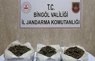 Bingöl’de 3,5 kilo esrar ele geçirildi: 4 gözaltı