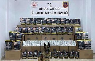 Bingöl’de 76 kilo kaçak tütün ele geçirildi:...