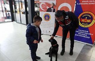 Bingöl’de vatandaşlar, bağımlılık konusunda...