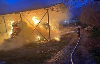 Binlerce balya saman alev alev yandı