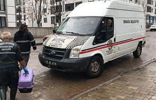 Bitkin halde bulunan kedi koruma altına alındı