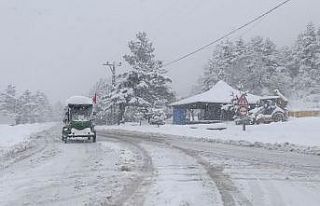 Bolu’nun doğa harikası Abant’ta kış güzelliği