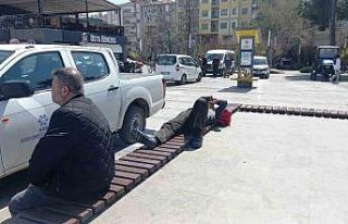 Böyle uyku keyfi görülmedi, ortalık karıştı...