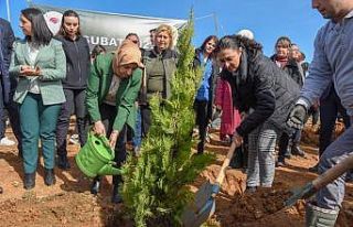 BŞEÜ Orman Haftasında fidan dikimi gerçekleştirdi