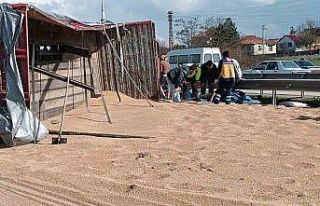 Buğday yüklü kamyon devrildi: 2 yaralı