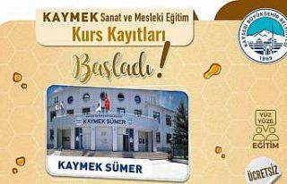 Büyükşehir KAYMEK’ten arıcılık kursu