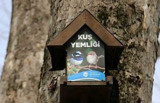 Büyükşehir’in kuş yemlikleri yürekleri ısıttı