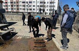 Çanakkale Savaşları’ndan kalma patlamamış top...