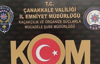 Çanakkale’de tarihi eser kaçakçılığı operasyonu