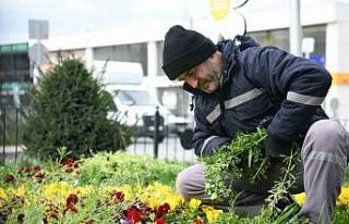 Çayırova’da bahar hazırlığı