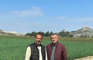 Ceyhan’da toprak yağmurla buluştu, çiftçinin...