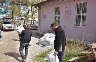 Çiftçilere ücretsiz mısır tohumu desteği