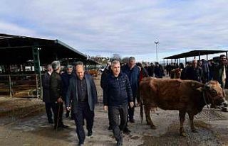 Çınar: “Esnaflarımızın fedakarlığı ve özverisi...