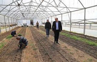 Çukurca’da fide ekimine başlandı