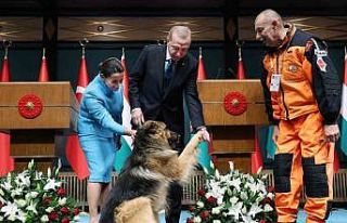 Cumhurbaşkanı Erdoğan: “TANAP’tan Macaristan’a...