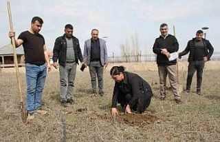 Cumhuriyet savcıları fidan dikti