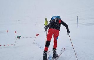 Dağ kayağında madalyalar sahiplerini buldu