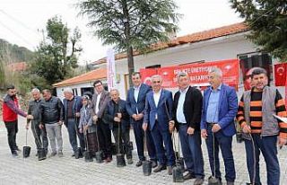 Dalaman’ın 11 kırsal mahallesinde ‘Kaya İnciri’...