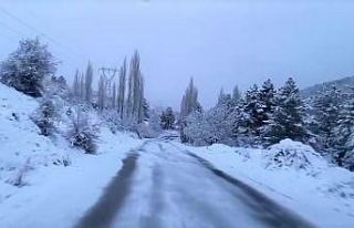 Denizli baharın ortasında beyaz gelinliğini giydi