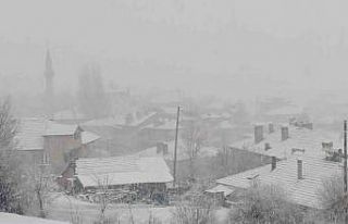 Denizli, Mart ayının ortasında yağan karla beyaza...