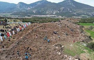 Denizli’de Deprem Şehitleri Hatıra Ormanında...