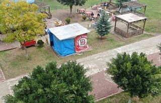 Deprem korkusu kamelyayı ev yaptırdı