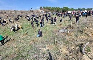 Deprem şehitleri için 30 bin fidan toprakla buluşuyor