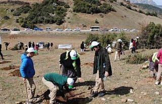 Deprem şehitleri için Eğirdir’de 500 adet ardıç...