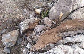 Deprem sonrası dağdan kopan dev kaya parçaları...