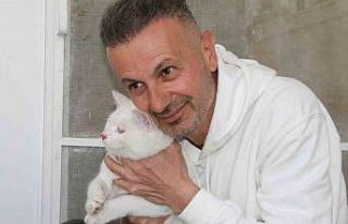 Depremde enkazdan kurtarılan kedi, mikroçip sayesinde...