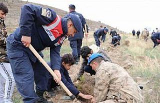 Depremde hayatını kaybedenler Aksaray’da fidan...