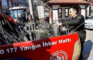 Depremde hayatını kaybedenlerin anısına fidan...