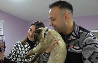 Depremde kaybolmuştu, mikroçip sayesinde ’Paşa’nın...