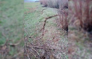 Depremde tarlada yarıklar oluştu
