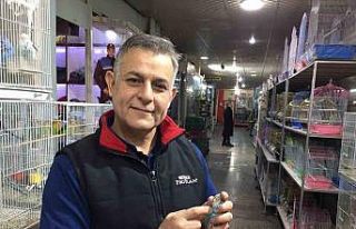 Depremi önceden haber verdiğine inanılan muhabbet...